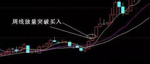 不盈利就等于亏损？打破传统认知的盈利误区