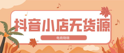 与商店合作，哪种商品销售最赚钱？选品策略大揭秘！