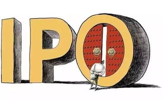 IPO期间高管兼职是否合规？企业上市前后职责界限如何界定？