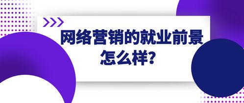 网店经营中，还能拓展哪些有前景的副业项目？
