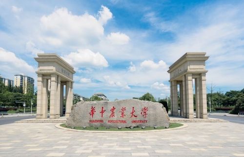 华中理工大学研究生如何实现经济独立？