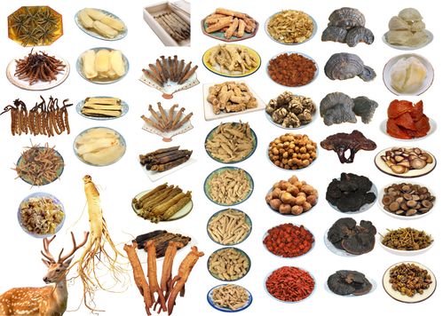中药铺子里哪种药材最能带来丰厚利润？