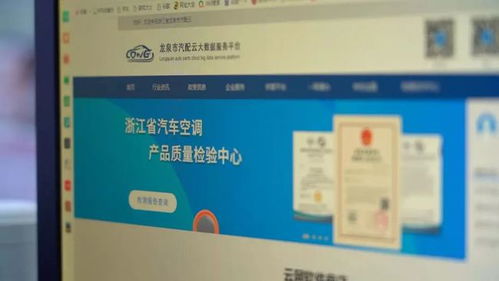 丽水市有哪些自助团购平台，你知道吗？