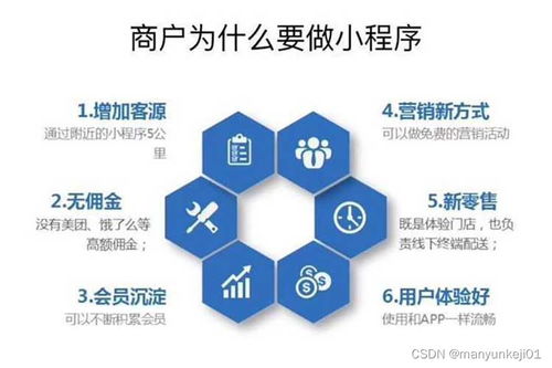 哪个领域的程序开发最具盈利潜力？