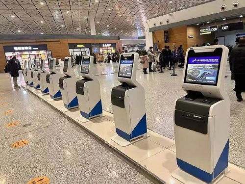 什么是自助值机平台，它如何提升机场效率与旅客体验？