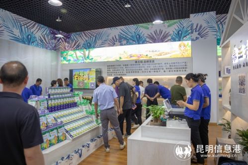 关岭地区有哪些自助团购平台，能提供优质的一站式购物体验吗？