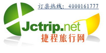 dy业务代理的自助下单平台，低价优势真的存在吗？