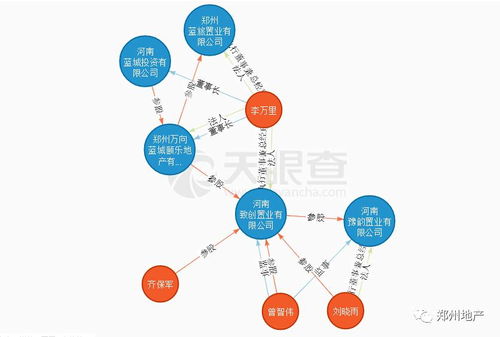 长城项目盈利状况如何？投资回报是否理想？