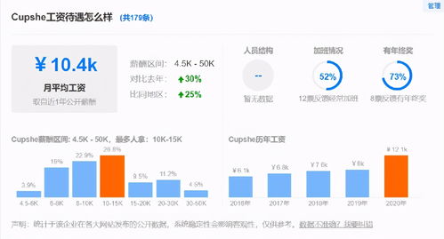 独立站与亚马逊，哪个平台更易实现盈利？