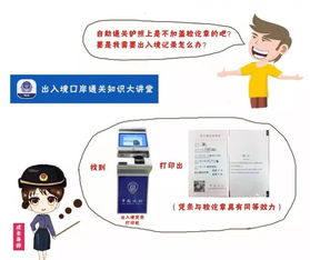 你想了解哪个国际自助直播平台官网的最新信息？