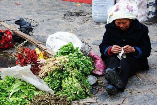 农村街头摆摊卖果子，真的能赚到钱吗？
