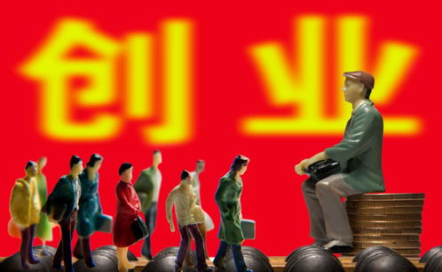 哪个项目赚钱效果更佳？探寻高收益的创业机会