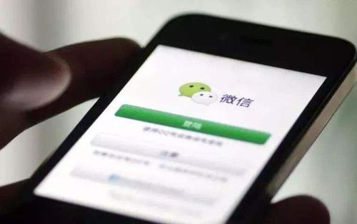微信平台上，学生群体如何实现有效创收？具体方法有哪些？