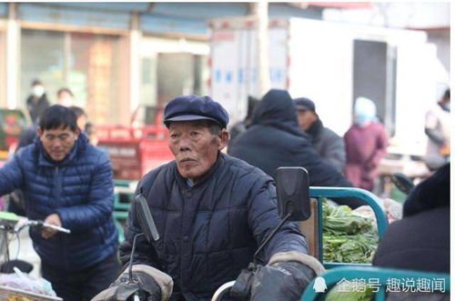 农村老人有哪些途径打工增收？