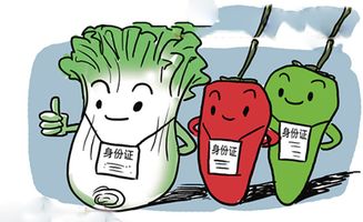 为什么微商在食品领域的销售总是难以取得成功？