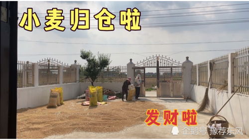农村小伙种植什么项目能实现高收益？