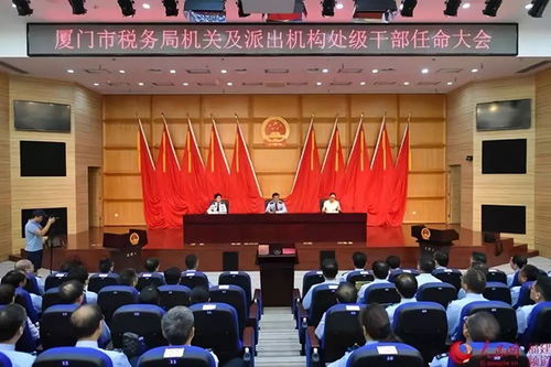 如何高效组建厦门市湖里区的兼职干部考察团队？有哪些关键步骤？