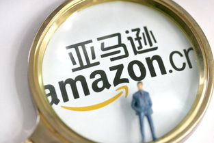 亚马逊会议招募兼职，你感兴趣吗？