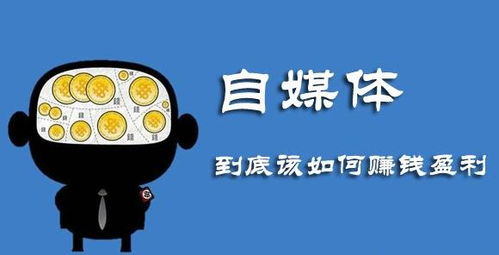 闪动平台真能带来可观收益吗？赚钱效果究竟如何？