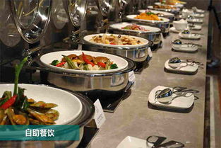 北京有哪些自助餐可以网上预订？最佳预定平台推荐一览