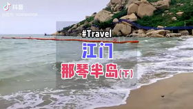 半岛听海自助直播平台，是您探索海洋声音的最佳选择吗？