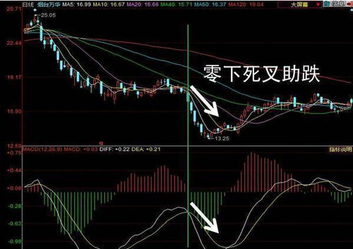 人究竟是如何一步步掌握赚钱技能的？