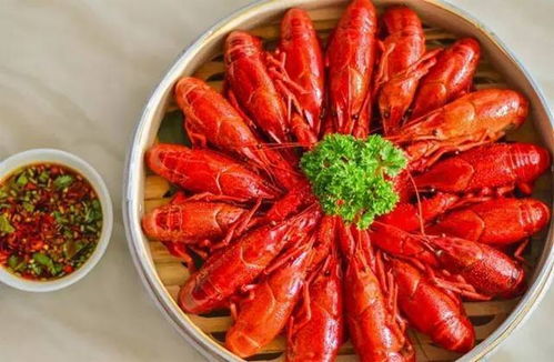 北京哪家龙虾自助团购网站最值得推荐？探寻美味与优惠的最佳选择！