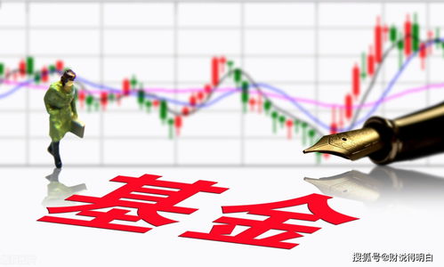 175场景号真的能带来可观收益吗？值得一试吗？