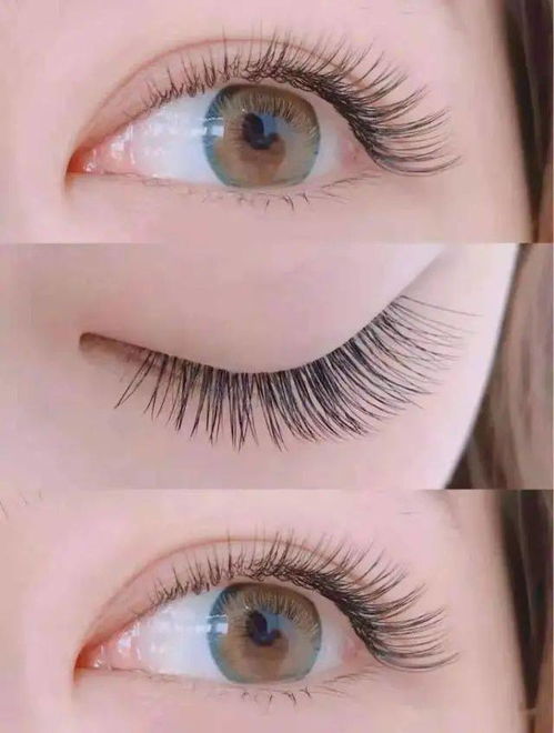 种睫毛真的能成为赚钱的副业吗？新手如何入门？