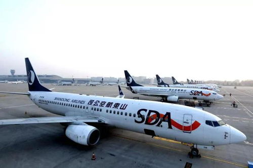 山东航空员工总数究竟有多少？带你了解山航团队规模及其构成详情