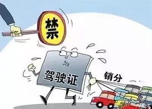 协警工作之余，有哪些合法副业可以尝试？