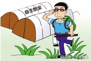 农村小伙如何找到免费的副业机会？