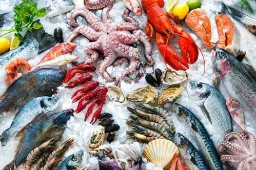 南昌的海鲜自助竟然可以这样看？揭秘全新直播平台体验！