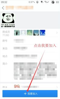 微信互投群号码搜寻途径有哪些？百度贴吧中的微信互投群可信度如何？