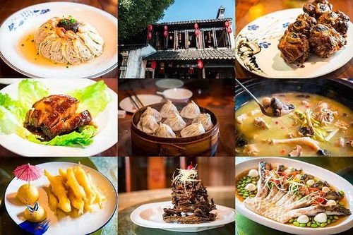 南京深海自助团购平台哪家强？探索美食新选择！