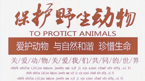 男人在副业选择养鱼是否明智？知乎网友热议分享经验