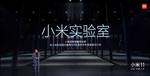 绝命位真的能带来财富吗？揭开赚钱背后的神秘面纱