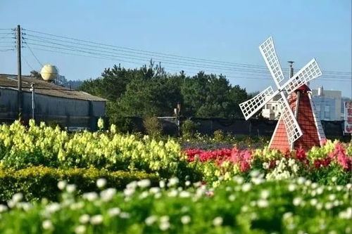 微派农场真的能盈利吗？它的赚钱模式是怎样的？