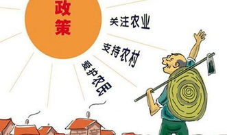 三农创作者如何实现盈利？揭秘背后的赚钱之道