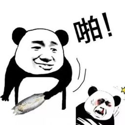 如何在群聊中分享富婆表情包才能引爆笑点？这份详细步骤你试过了吗？