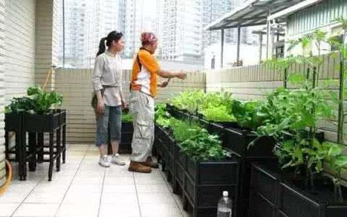 卖衣为主种菜为辅，这种跨界经营模式真的可行吗？