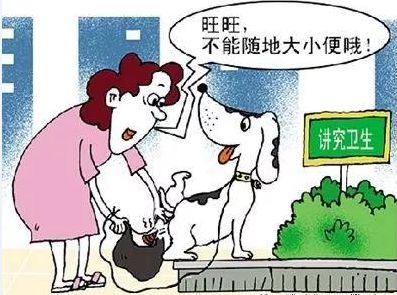 家庭养狗作为副业，真的能带来可观收入吗？