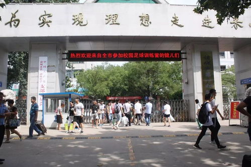 学校隶属究竟指什么？深入解析学校隶属的含义
