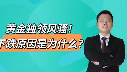 鹤岗有哪些值得尝试的副业机会？