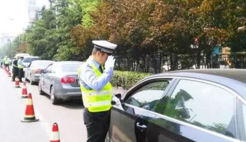 杭州交警是否涉足副业？具体有哪些发展方向？