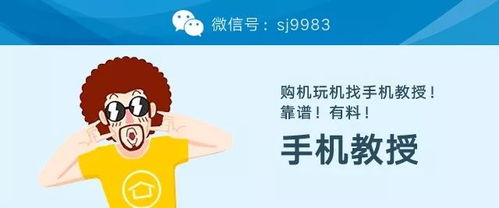 你是否了解市场上那些隐藏的赚钱模式？