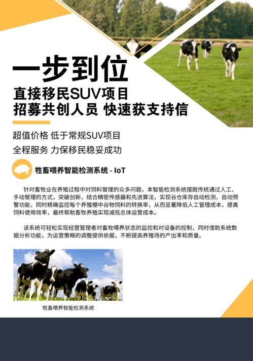 女性如何开启副业之路，实现事业与生活的双重丰收？
