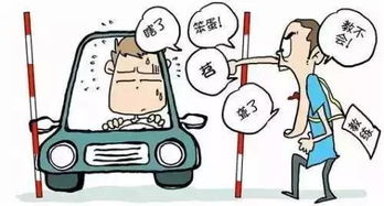 驾校教练都在偷偷做哪些副业？你绝对想不到！