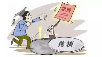 军令副业帮究竟是什么？带你了解这个神秘组织
