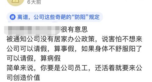 天选打工人如何实现高效赚钱？揭秘成功秘诀